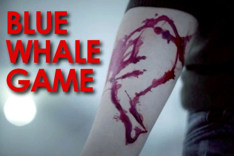 ବ୍ଲୁ ହ୍ବେଲ୍ ମାତ୍ର ଏକ ଖେଳ ନା ଆଉ କିଛି?