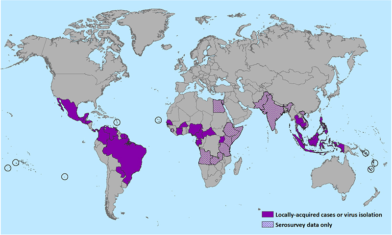 Zika worldwide view
